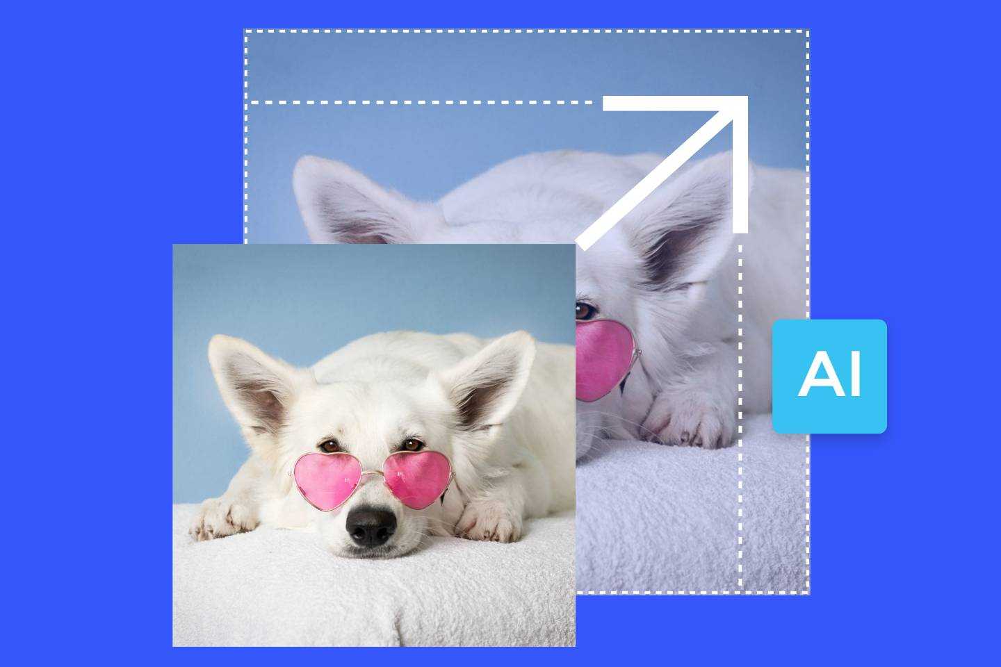 enlarge a photo of a white dog with pink sunglasses in fotor