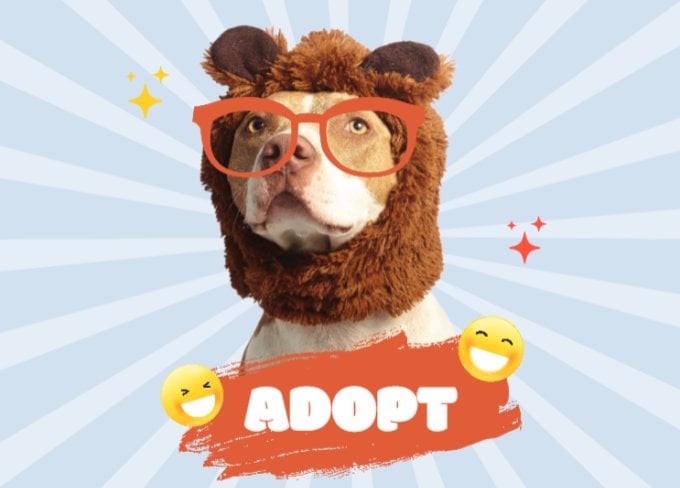 Sevimli hayvan fotoğrafıyla istediğiniz gibi tasarlayın